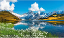 Mountains Lake Aquarium Background Bernese range View Fish Tank Background Switzerland Alps Grindelwald Valley Lake Terrarium Background Fantastic Natural Landscape Aquarium Fish Tank Decors 72x24in by GreenHaven Gardens