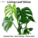 Leaf Shine Spray for Indoor Plants – Plant Leaf Cleaner & Shine for Real House Plants – Fragrance-Free, Non-Sticky, Streak-Free Finish, 16 fl oz by GreenHaven Gardens