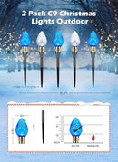 Brightown 2 Pack Strawberry C9 Pathway Lights Outdoor - Total 34.8 Feet 20 LED C9 Walkway Lights, Christmas Outside Decorations for Lawn Holiday, Blue & Pure White by GreenHaven Gardens