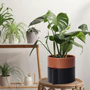 8 Inch Self-Watering Planter Pot with Terracotta Insert, Deep Water Reservoir, and Ceramic-Alike BPA-Free Plastic Planter Pot for Plant, Modern Planter for Houseplants, Black/Terracotta, 53-B-T-5