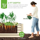Best Choice Products 8x4x2ft Outdoor Metal Raised Garden Bed, Deep Root Planter Box for Vegetables, Flowers, Herbs, and Succulents w/ 478 Gallon Capacity - Beige by GreenHaven Gardens