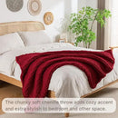 Chunky Knit Blanket Throw, 100% Hand Knit Throw Blanket Handmade Chenille Cable Knit Throw for Couch, Stylish Cozy Soft Rope Knot Crochet Blanket for Home Decor, Red, 50x60 Inches by CozyNest Decor
