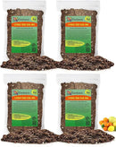 Citrus Tree Potting Soil Mix - 20 Quart - Special Blend for Indoor Oranges, Lemons, Limes and More - (4 Bags of 5 Quart) by GreenHaven Gardens