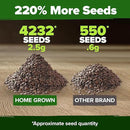 HOME GROWN Catnip Seeds (2 Pack) 𝗡𝗢𝗡-𝗚𝗠𝗢, 𝗨𝗦𝗔-𝗦𝗢𝗨𝗥𝗖𝗘𝗗 Heirloom Herb 4232 Seeds - Indoor or Outdoor Seed - High-Germination Cat Nip - Cat Safe Plants (Nepeta cataria) by GreenHaven Gardens
