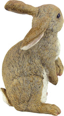 Design Toscano QM200681 Hopper the Bunny Standing Rabbit Indoor/Outdoor Garden Statue, 6 Inches Wide, 11 Inches Tall, Handcast Polyresin, Full Color Finish by GreenHaven Gardens