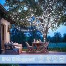 JMEXSUSS 2 Pack White Solar String Lights, Each 100 LED 33ft Green Wire Solar Lights Outdoor Waterproof for Outside Garden Wedding Party Decoration by GreenHaven Gardens