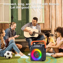 Karaoke Machine,Karaoke Machine for Adults with 2 Wireless Microphones/6.5IN Speaker/PA System with Remote Control/LED Light/Remote Control,Portable Bluetooth Karaoke Speaker Supports TWS/REC/AUX/USB by TinyTreasures Baby Boutique