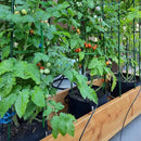 Garden Plant Stakes 48 Inch 4Ft Steel Plant Stick Support, 25 Pack Tomato Stakes for Growing Climbing Plants, Potted Plants, Tomatoes, Trees, Cucumber, Beans, Fences Poles by CozyNest Decor