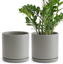 Set of 2 Plants Pots, 8 Inch Ceramic Planter Pot for Plants with Drainage Hole and Saucer, Speckled Grey, 94-V-D-3 by GreenHaven Gardens