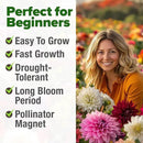 HOME GROWN 𝗨𝗦𝗔 𝗣𝗥𝗘𝗠𝗜𝗨𝗠 Zinnia Dahlia Seeds Pack for 2025 – 524 𝗡𝗢𝗡-𝗚𝗠𝗢 Flower Seeds | Vibrant Zinnia Elegans for Pollinator Gardens, Borders & Containers | Easy-to-Grow Outdoor Blooms by GreenHaven Gardens