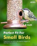iBorn Metal Bird Feeder Hanging Wild Bird Feeders for Mix Seed Blends Heavy Duty All Metal Finishing, Copper Finish, 8 Inch 2 Port (Seed is not Included) by CozyNest Decor