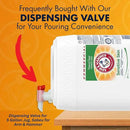 Arm & Hammer Liquid Laundry Detergent Professional, Sensitive Skin, 5 Gallon (Pack of 1) 640 Loads by CozyNest Decor