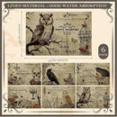 Umigy 6 Pcs Halloween Placemats 12"x18" Gothic Bat Placemats Kitchen Decoration Washable Witch Place Mats Rectangle Skull Table Mats for Halloween Dining Table Accessories(Poster Style) by CozyNest Decor