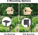 Bird Feeder Pole 118 Inch, Hummingbird House Mount Kit With Squirrel Proof Baffle, Double Shepherds Hooks for Outdoor, Yard, Garden Decor, Black (House Not Included) by GreenHaven Gardens