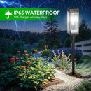 Solar Pathway Lights Outdoor, 4 Pack Upgraded Solar Lights Outdoor Waterproof, Bright Up to 15 Hrs Auto On/Off Garden Light for Yard Patio Lawn Path Walkway Driveway Outside Decor(Cool White) by CozyNest Decor
