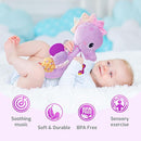 Sumobaby Infant Baby Musical Stuffed Animal Activity Soft Toys with Multi-Sensory Crinkle, Rattle and Textures, for Tummy Time Newborn 0-3-6-12 Months Boys, Girls, Seahorses, Purple by TinyTreasures Baby Boutique