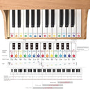 MUSICUBE 25 Keys Grand Digital Piano for Baby Toddler Kid Toy Mini Piano for Baby Educational Musical Toys Gift for Boys Girls Ages 3+ by TinyTreasures Baby Boutique
