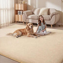 Sour Lemon 8x10 Area Rugs for Living Room, Soft Large Area Rug Fluffy Rugs for Bedroom，Machine Washable Area Rug Non Slip Carpet Rug for Living Room Playroom Kids Room Home Decor by CozyNest Decor