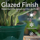 Sunnydaze Studio Large Ceramic Plant Pot - Round Outdoor Glazed Ceramic Planter Pot with Drainage - Dark Green - 18.5 in by GreenHaven Gardens