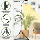 LORDEM Grow Light for Indoor Plants, Full Spectrum Plant Light with Auto Timer for 4/8/12H, 7.9" Diameter Growing Lamp with 108 LEDs, 4 Dimmable Levels, Adjustable Stand 24"-67" by GreenHaven Gardens