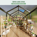 6 x 8 FT Greenhouse, Greenhouses for Outside, Polycarbonate Greenhouse with Aluminum Frame, Lockable Door and Ajustable Roof Vent for Backyard, Green Houses for Outside Garden Backyard, Patio by GreenHaven Gardens