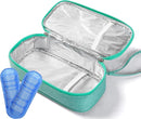 Insulated Breastmilk Cooler Bag with 2 Ice Packs - Breastmilk Cooler Organizer Bag for Daycare, Breastfeeding Mom Travel Outdoor by TinyTreasures Baby Boutique