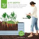 Best Choice Products 8x4x2ft Outdoor Metal Raised Garden Bed, Deep Root Planter Box for Vegetables, Flowers, Herbs, and Succulents w/ 478 Gallon Capacity - Mist Blue by GreenHaven Gardens