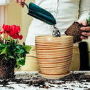 10 Inch Plant Pot Ceramic Pots for Plants with Drainage Hole and Saucer Round Flower Pot for Home Patio Garden Office Yellow by GreenHaven Gardens