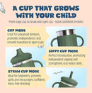 Jumble Dream Baby & Toddler Stainless Steel Sippy Cup Silicon Training Stainless Steel Kids Cups with Straw, Babies Tumbler with Straw No Spill | 6-24 Month Toddler Sippy Cup (Sage Breeze) by TinyTreasures Baby Boutique