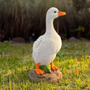 Elenon Goose Statue Garden Decorative, 11 inch High Adorable Flower Bed Outdoor Decor, Yard Patio Art Decor Sculptures Table Ornament by CozyNest Decor
