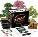 Bonsai Tree Kit with Complete Plant Growing Tools, Grow in Pot Indoor Bonsai Tree Starter Kit, Home Gardening DIY Gift for Adult by GreenHaven Gardens