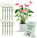 Stackable Plant Support Stakes, Stem Holder Structure for Indoor & Outdoor, Garden Accessories for Climbing & Potted Plants, Trellis Alternative - Peony (Light Green), 10 Pack, 17" L by GreenHaven Gardens