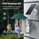 Bird Feeders for Outdoors, Smart Bird Feeder with Camera Solar Powered, AI Species Identification, 3K Video Live Stream Camera, 5Mp HD Night Vision, Instant Arrival Alerts (Light Green) by CozyNest Decor