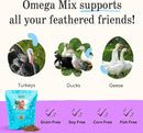Grubbly Farms Omega Mix Chicken Treats for Laying Hens - Superfood and Omega-Rich Chicken Feed Supplement to Support Egg Production, Strong Eggshells and Nutritious Yolks - 5LB by GreenHaven Gardens