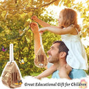 Wooden Butterfly House and Feeder, Hanging Butterfly House for Garden, Natural Butterfly Habitat with Butterfly Puddler for Outside Butterflies, Moths - Backdoor, Easy to Clean by GreenHaven Gardens