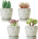 4 Inch Mini Plant Pots, Ceramic Succulent Planter with Drainage Hole and Saucers for Indoor Plants, Small Garden Pots for Succulent, Herb and Flower, Set of 4 by CozyNest Decor