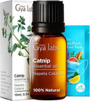 Gya Labs Catnip Essential Oil for Skin - 0.34 Fl Oz - 100% Pure Natural Catnip Oil for Diffuser, Massage & Candle Making Scent