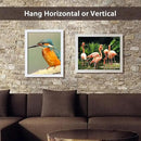 VCK 16x20 Poster Frames 3 Pack White MDF Wood and Polished Plexiglass Frame,Display Pictures in Horizontal and Vertical by CozyNest Decor