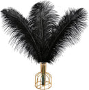 THARAHT Black Ostrich Feathers 12pcs Large Natural Bulk 12-14Inch 30cm-35cm for Wedding Party Centerpieces Halloween and Home Decoration Feathers by CozyNest Decor