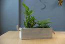 Wooden Planter Box with Handle, Rustic Barn Wood, Plastic Liner l Garden Decor l Restaurant and Wedding Decorations l Wedding Table Centerpiece (12x4 w Handle Set of 4, Natural) by GreenHaven Gardens