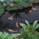 16 x 16 FT Pond Liner, 20 Mil Fish Pond HDPE Liner, Pond Liners for Outdoor Ponds, Koi Ponds, Garden Fountain, Waterfall by GreenHaven Gardens
