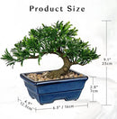 Artificial Bonsai Tree Faux Plants Indoor Small Fake Plants Decor with Blue Ceramic Pots for Home Table Office Desk Bathroom Shelf Bedroom Living Room Farmhouse Decorations by GreenHaven Gardens