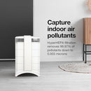 IQAir HealthPro Compact XE Air Purifier - 3-Pack - Compact HyperHEPA Fration for Spaces up to 3720 sq ft - Allergens, Smoke, Dust, Mold, Pet Dander, Swiss Made, WiFi Enabled by TinyTreasures Baby Boutique