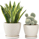 Docrin Ceramic Plant Pots Indoor, 6.6 + 5.5 Inch Flower Pots with Drainage Holes and Saucer for Plants, Set of 2, Milky White Honeycomb by GreenHaven Gardens