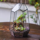 NCYP Geometric Glass Terrarium Planter for Succulent, Small Cacti, Black Irregular Opened Container Pot, Indoor Home Garden Office Tabletop Decor, 6.5" x 5.7" x 9.8" (No Plants, No Door) by CozyNest Decor