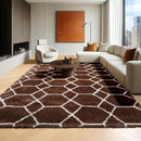 ONASAR 6x9 Area Rugs for Living Room Bedroom, Washable Large Fluffy Brown and White Throw Rug, Geometric Soft Plush Shaggy Fuzzy Floor Carpet for Nursery Kids Girls Boys Teen Dorm Home Office Decor by TinyTreasures Baby Boutique