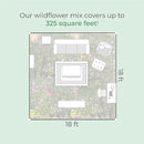 Created By Nature Maine Wildflower State Mix, 15 Flower Varieties, 50,000 Seeds by GreenHaven Gardens
