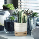 6 Inch Plant Pots, Ceramic Planter Pot with Drainage Hole & Saucer, Indoor/Outdoor Cylinder Round Planter Pot, White & Beige Glaze by CozyNest Decor