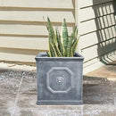 Kante Square Lion Head Concrete Planter, Classic English Style Plant Pot with Drainage Hole and Rubber Plug for Indoor Outdoor Garden Patio Home, 12.6"x12.6"x12.6" Antique Gray by GreenHaven Gardens