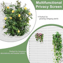 Casaphoria Metal Raised Garden Bed with Trellis and Wheels, 72"x35"x16" Arched Planter Box for Climbing Plants, Vegetables & Vines, Features Drainage Holes and Privacy Screen (White-Louvered) by GreenHaven Gardens